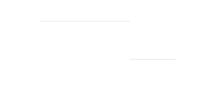 Компания MAXVAN